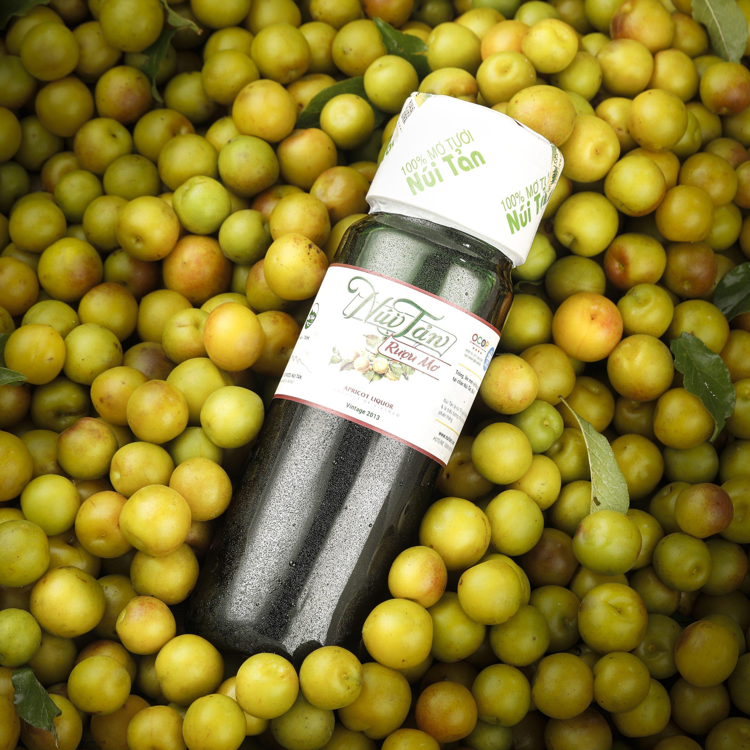 Nằm Mơ Thấy Vợ Chồng Bỏ Nhau Đánh Con Gì?