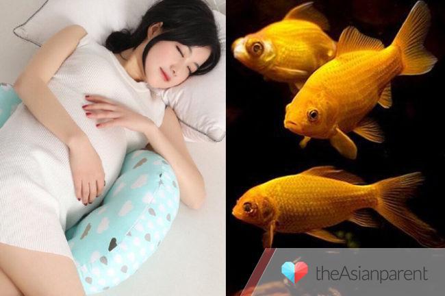 Bà bầu mơ thấy bắt tôm