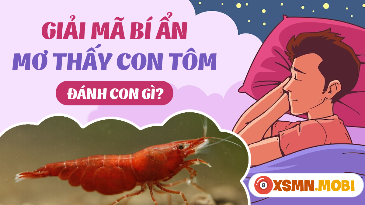 Bà bầu mơ thấy tôm chết