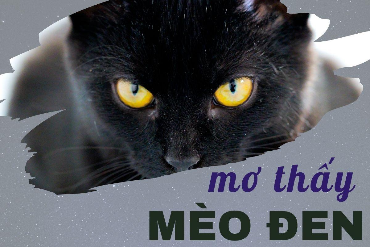 Bà bầu nằm mơ thấy mèo đen