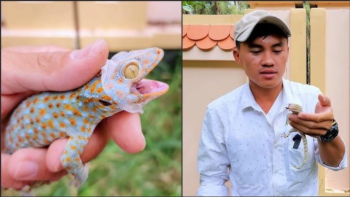 Nằm Mơ Thấy Nghĩa Địa Đánh Con Gì? Giải Mã Bí Ẩn