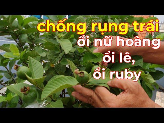Giải Mã Giấc Mơ Thấy Gà Thịt Rồi và Con Số May Mắn