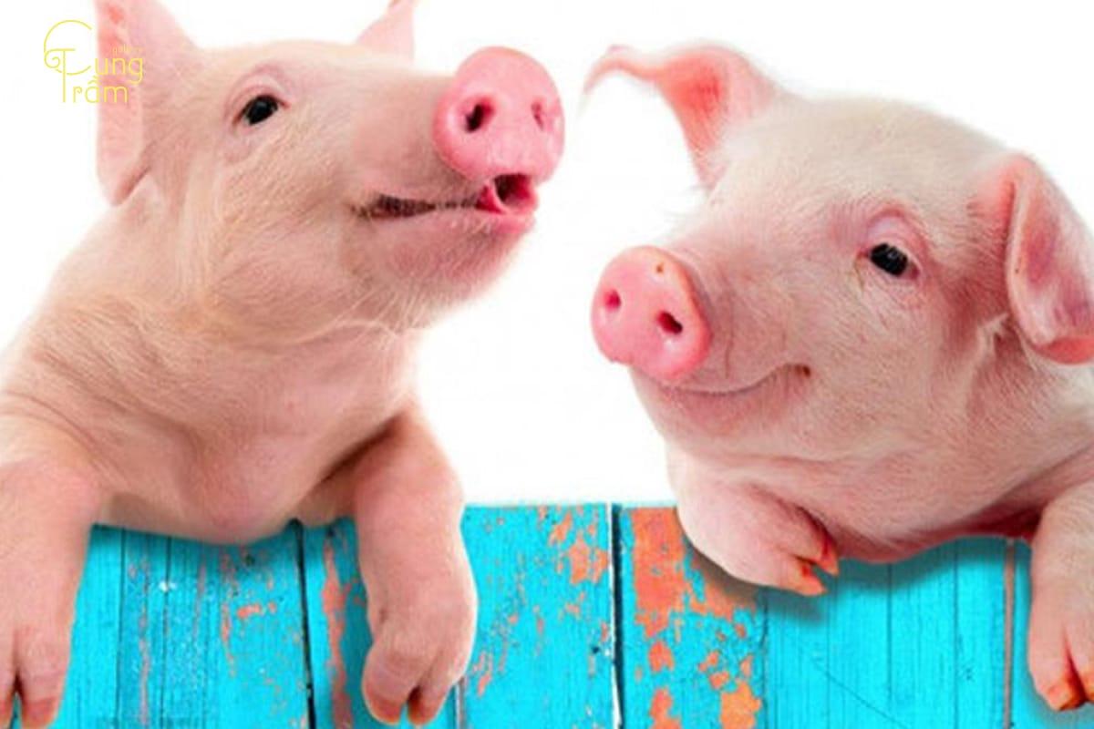 Giải Mã Giấc Mơ Thấy Bạn Nằm Cùng Lớp