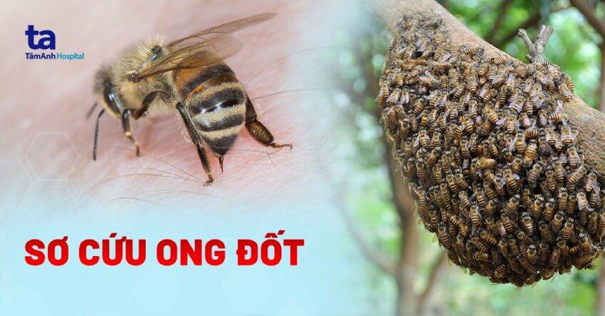 Nằm Mơ Thấy Đi Thi Đánh Đề Số Gì?