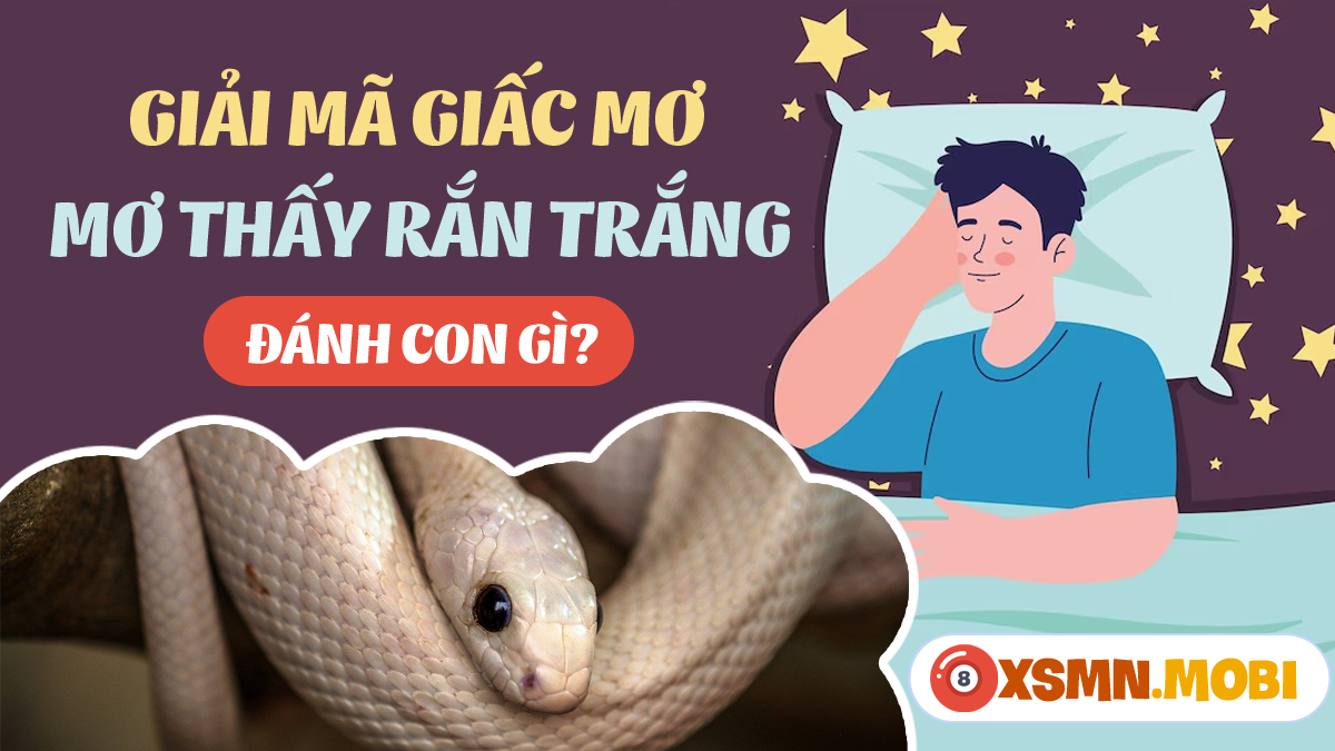 Giải Mã Giấc Mơ Thấy Lấy Chồng Khác Đánh Con Gì?