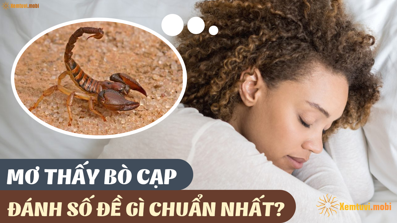 Nằm Mơ Thấy Chó Đẻ Đánh Con Gì? Giải Mã Chi Tiết