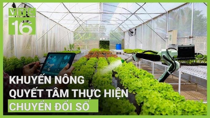 Nằm Mơ Thấy Mình Bắt Lươn Đánh Số Gì?