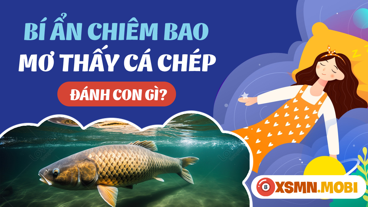 Cá chép mắc lưới trong mơ