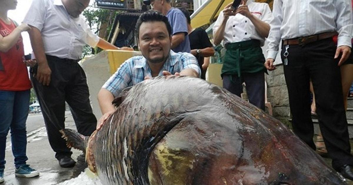 Nằm Mơ Thấy Dừa Đánh Số May