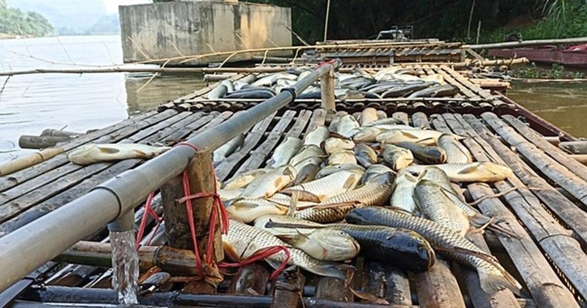 Nằm Mơ Thấy Tiên Trên Trời Đánh Con Gì?