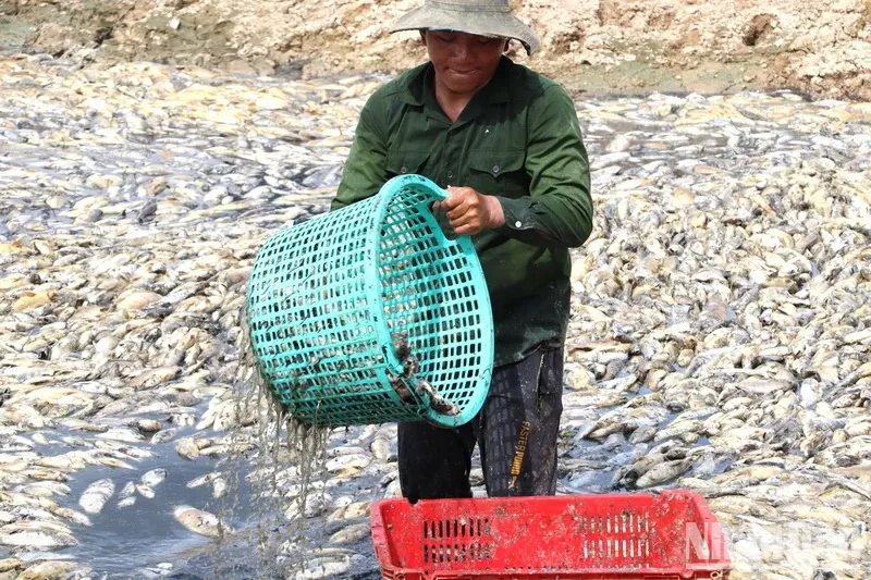 Ngủ Hay Nằm Mơ Linh Tinh: Giải Mã Bí Ẩn Và Con Số May Mắn