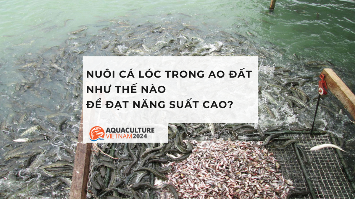 Nằm Mơ Thấy Chạy Trốn Đánh Con Gì?