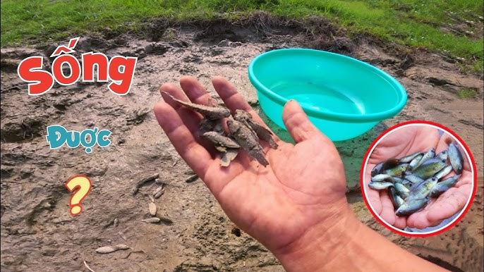 Giải Mã Giấc Mơ Thấy Mình Làm Đẹp Và Con Số May Mắn
