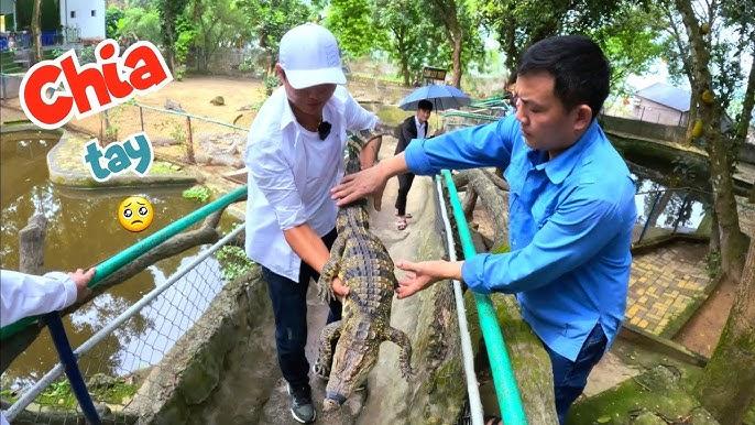 Giải Mã Giấc Mơ Thấy Cây Lưỡi Hổ Và Con Số May Mắn