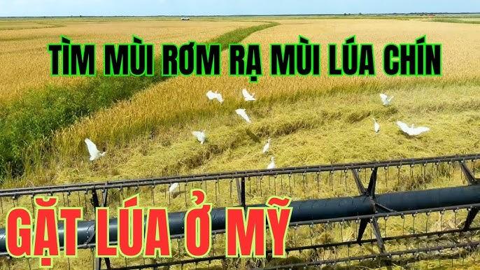 Giải Mã Giấc Mơ Nằm Mơ Đánh Vợ Đánh Con Gì?