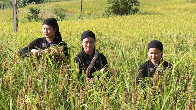 Mang Thai Nằm Mơ Thấy Bé Gái: Giải Mã Lô Đề
