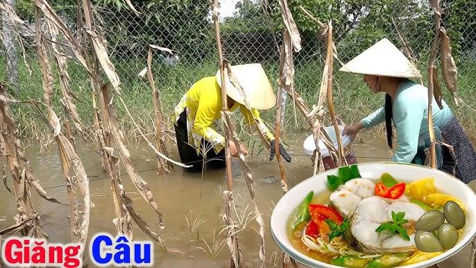 Giải Mã Giấc Mơ Thấy Nước Biển Tràn Vào Nhà