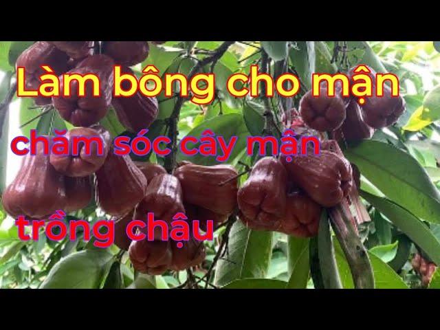 Giải Mã Giấc Mơ Thấy Giật Mình Đánh Con Gì?