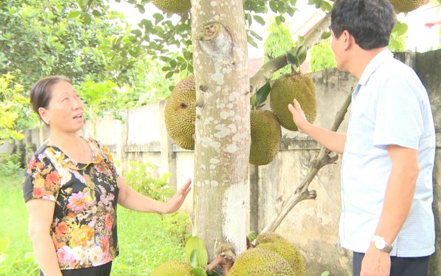 Nằm Mơ Thấy Con Gì? Giải Mã Giấc Mơ Và Số Đề