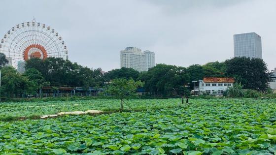 Nằm Mơ Thấy Gạo Có Điềm Gì? Giải Mã Và Số Đề Liên Quan