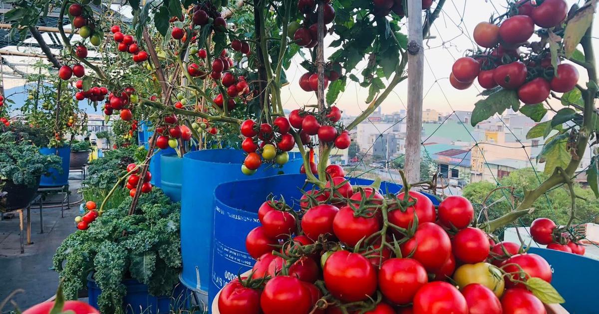 Giải Mã Giấc Mơ Thấy Giúp Đỡ Người Già và Con Số May Mắn