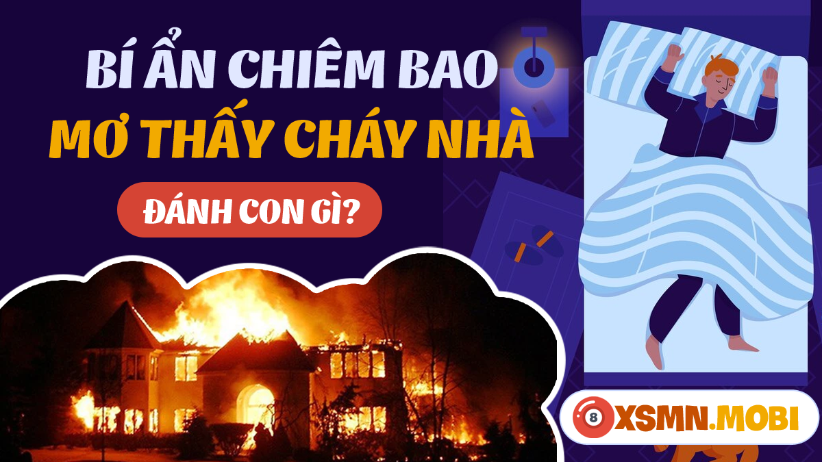 Giải Mã Giấc Mơ Bị Công An Bắt Xe Đánh Con Gì?