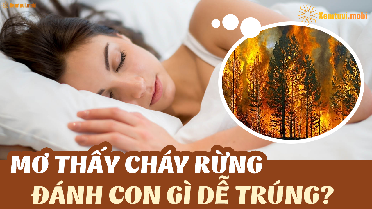 Nằm Mơ Thấy Báo Rượt: Giải Mã Và Con Số May Mắn
