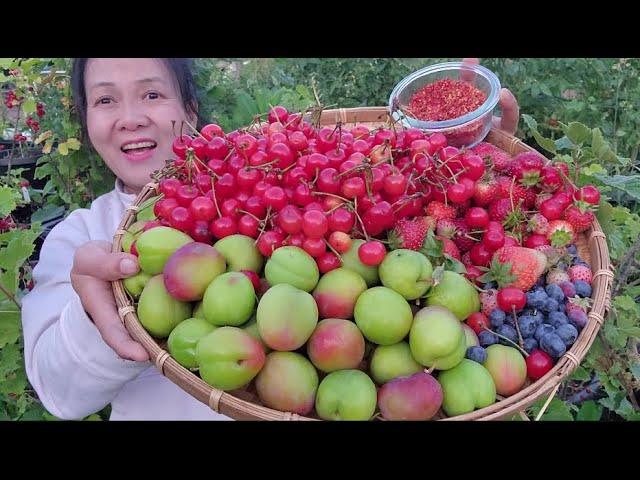 Nằm Mơ Thấy Đám Hỏi Đánh Số Gì?