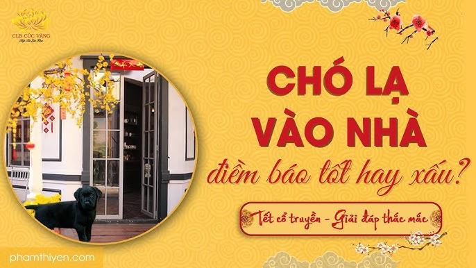 Nằm Mơ Thấy Mất Xe Máy Và Điện Thoại: Điềm Báo Gì?