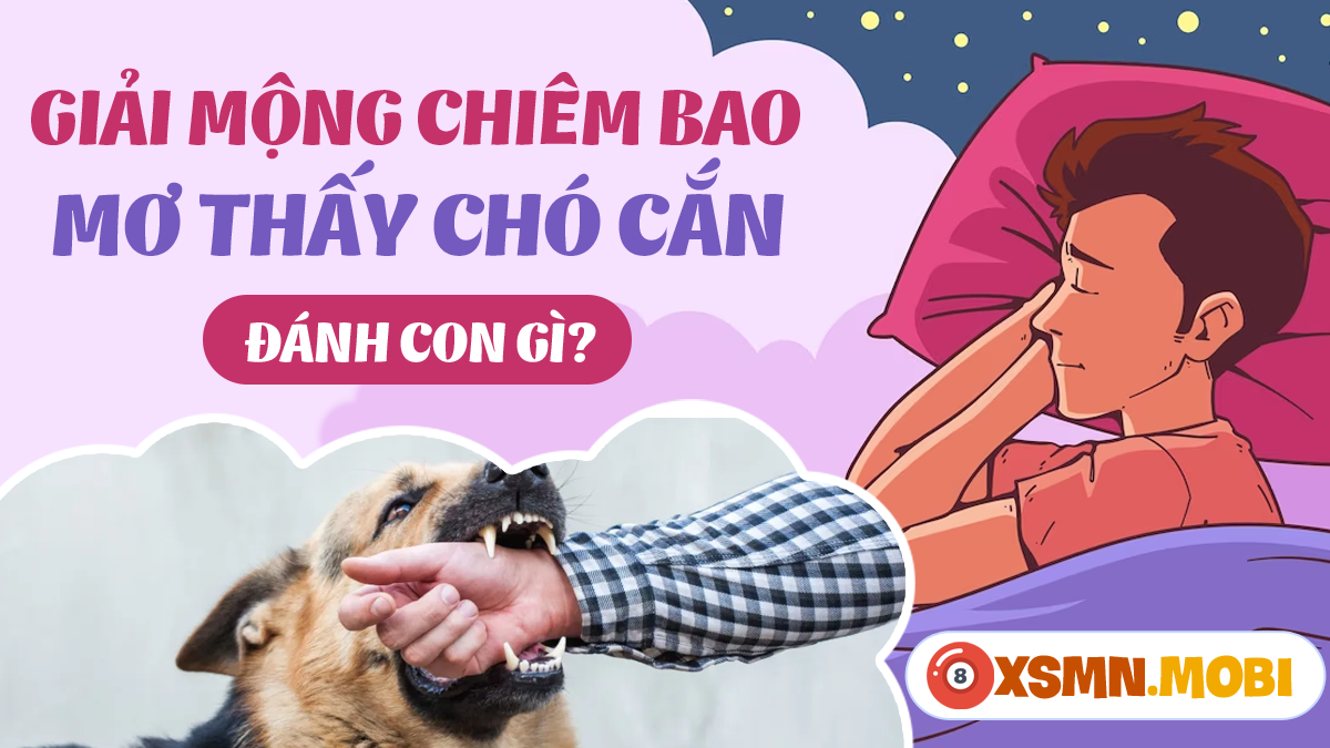 Giải Mã Giấc Mơ Thấy Đổi Tiền Và Con Số May Mắn