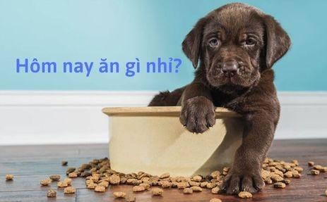 Giải Mã Giấc Mơ Thấy Đổi Tiền Và Con Số May Mắn