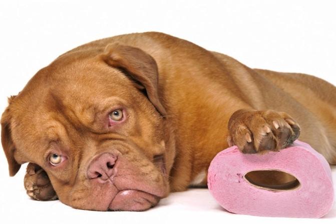 Nằm Mơ Thấy Thần Tài Đánh Số Mấy?
