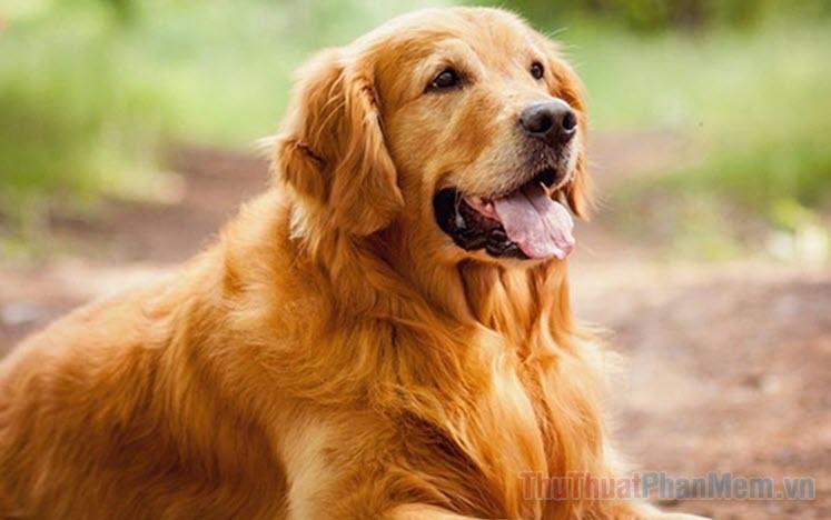 Nằm Mơ Thấy Nghĩa Địa Đánh Con Gì? Giải Mã Bí Ẩn