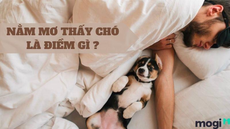 Nằm mơ thấy chó đốm cắn