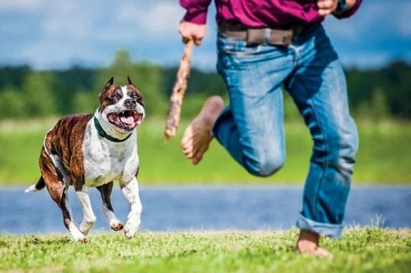 Nằm mơ mất xe đạp đánh đề con gì? Giải mã chi tiết