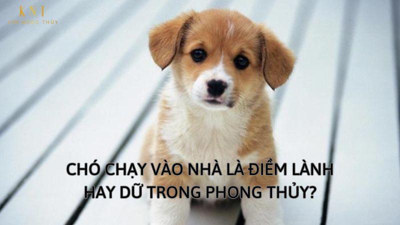 Giải Mã Giấc Mơ Thấy Ly Nước và Con Số May Mắn