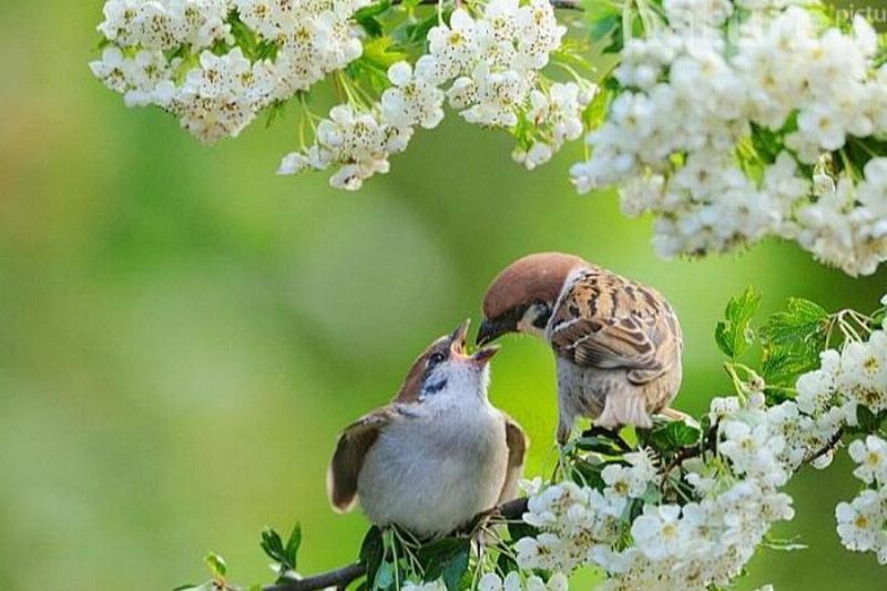 Nằm Mơ Thấy Leo Núi Đánh Số May
