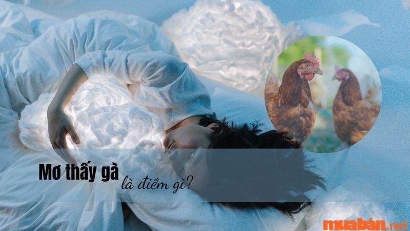 Nằm mơ thấy hoa hướng dương đánh con gì? Giải mã chi tiết