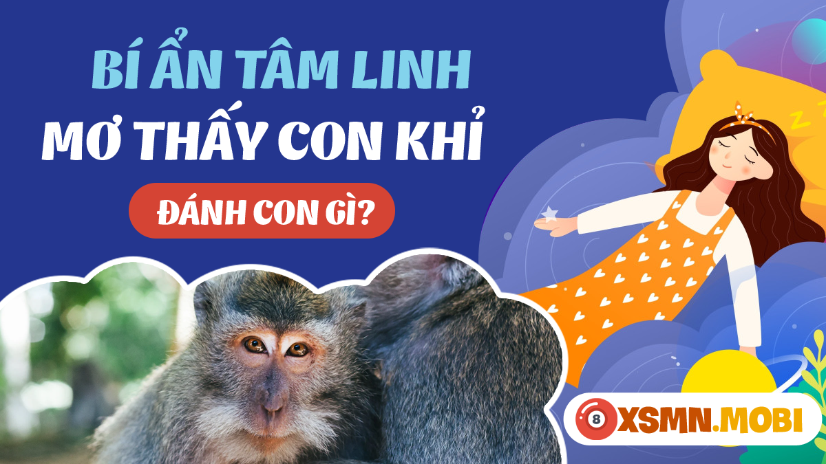 Nằm Mơ Thấy Cua Đánh Gì? Giải Mã Chi Tiết và Con Số May Mắn