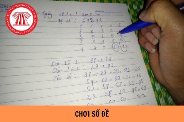 Giải Mã Giấc Mơ Thấy Màu Heo Và Con Số May Mắn