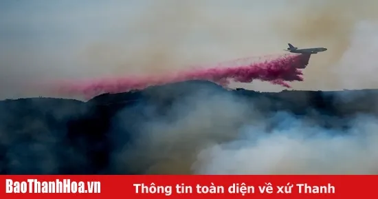 Giải Mã Giấc Mơ Rơi Xuống Nước Đánh Con Gì?
