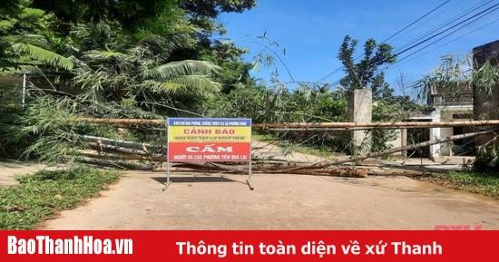Nằm Mơ Thấy Con Dơi Đánh Số Gì?