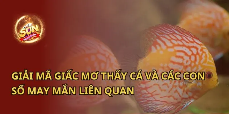 Giải Mã Giấc Mơ Thấy Ví Tiền: Điềm Báo Lộc Lá Hay Xui Xẻo?
