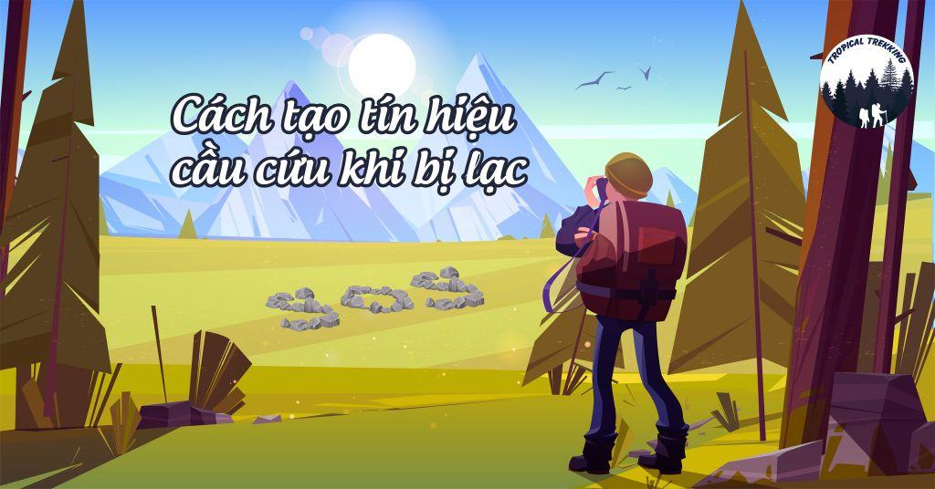 Nằm Mơ Có Thai Đánh Con Gì? Giải Mã Bí Ẩn