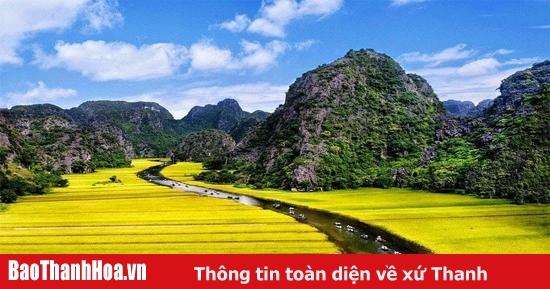 Giải Mã Giấc Mơ Thấy Con Vịt: Điềm Báo & Số Đề May Mắn