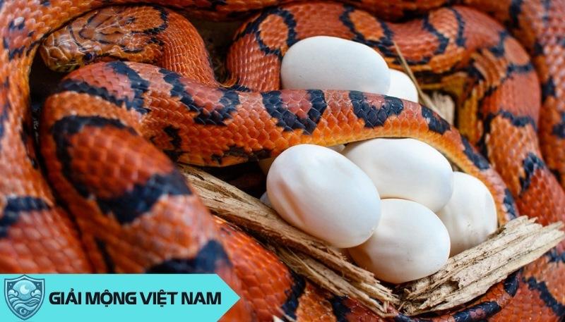 Nằm mơ thấy mua xe máy đánh số gì? Giải mã chi tiết