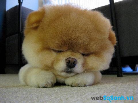 Nằm Mơ Thấy Sâu Bò Trên Người: Điềm Báo Gì Về Số Đề?