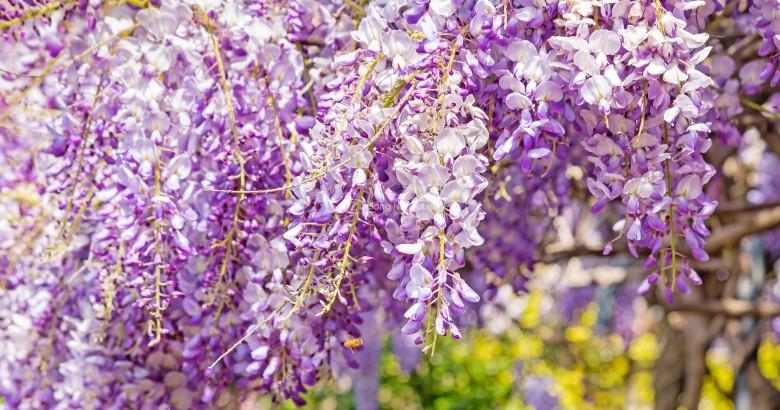 Giải Mã Giấc Mơ Thấy Cửa Hàng Quần Áo và Số Đề Liên Quan