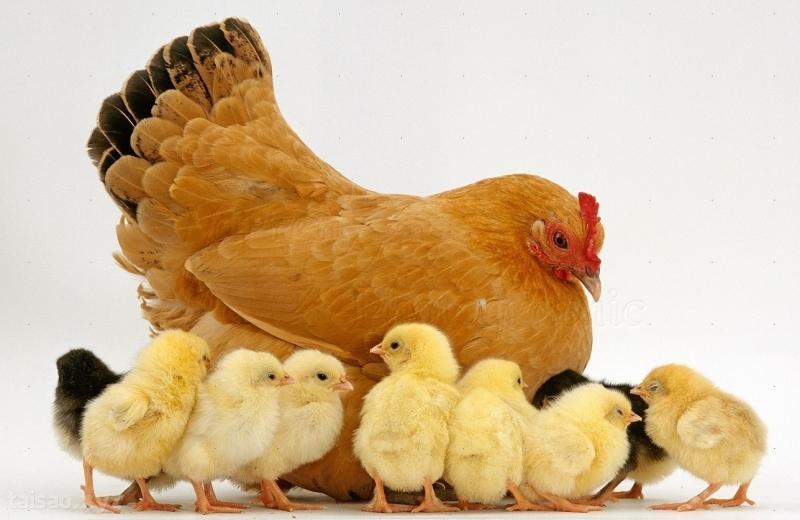 Giải Mã Giấc Mơ Thấy Mình Bị Cắt Tóc Và Con Số May Mắn