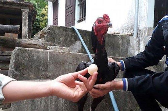 Giải Mã Giấc Mơ Thấy Mình Cưới: Điềm Báo Lành Hay Dữ?